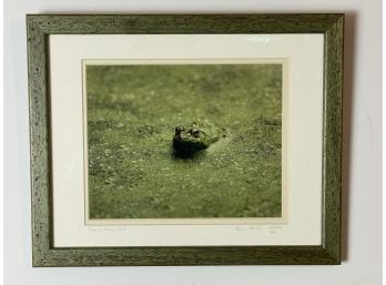 Original Signed Photograph By Noted Photographer Kevin Kelly