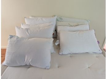 A Collection Of Eight Pillows - Bamboo And More