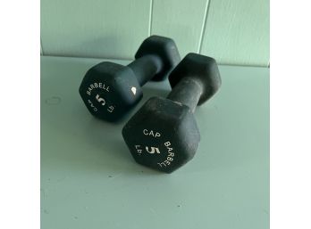 A Pair Of 5lb Hand Weights