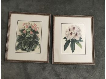 Pair Of Framed, Double Matted Botanical Prints - Back Has Reference To Source - Professionally Framed