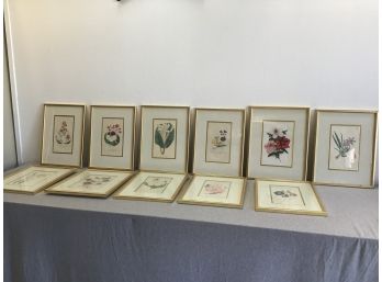 Lot Of Flower Lithographs