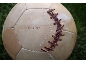 Gorgeous LINEAUS Leather Medicine Ball