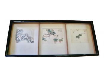 A Collage Of 3 Chinese Watercolor Art On Rice Paper Within A Shadow Box