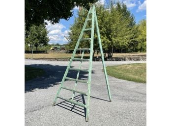 An Antique French Orchard Ladder