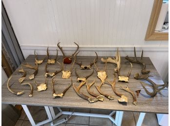 Table Lot Of Antlers