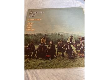Butterfield Blues Band - Vinyl Record Album