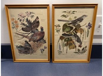 Vintage Arthur Singer Bird Botanical Prints. Mockingbird  Ruffed Grouse Ring Necked Pheasant California Quail.