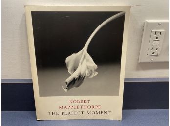 Robert Mapplethorpe. The Perfect Moment. Janet Kardon. Institute Of Contemporary Art.