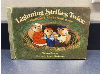 Lightning Strikes Twice. A Woodsey Adventure Book. Wonderfully Illustrated Children's Hard Cover Book. 1979.