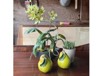 A Collection Of Table Top Faux Orchid, Potted Grass And Ceramic Pears
