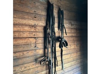 Leather Straps And Equestrian Leftovers - Abandoned Barn Finds