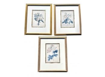 A Set Of 3 Vintage Rose Botanical Prints In Gilt Wood Frames Matted With Marble Paper