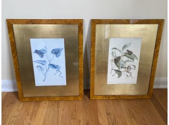 Pair Of Frog Prints
