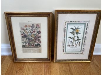Pair Florals In Gold Frames