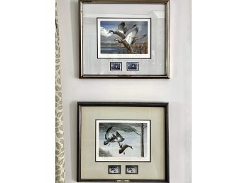 Ray Harm Limited Edition Mallard & Black Duck Framed Giclee Prints