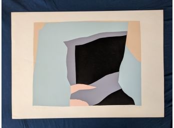 Pencil Signed Rive Stadtler 7/100 Organic Shaped Abstract 1966 Lithograph