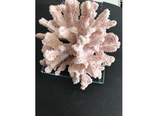 Crystallized Coral, 7 Inches By 7 Inches