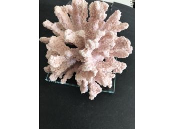 Crystallized Coral, 7 Inches By 7 Inches