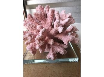 Crystallized Coral, 6 1/2 Inches Tall By 6 1/2 Inches Wide, 4 LB 8 Oz