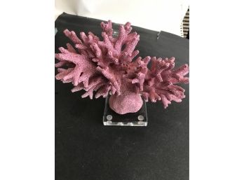 Crystallized Coral, 8 1/2 Inches By 7 Inches