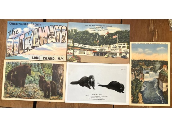 5 Vintage New York Post Cards