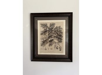 The Oak Tree 1776 Reproduction Print