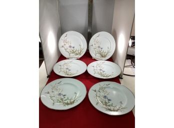 Vintage Set Of 6 Noritake Ireland Edenderry Salad Plates Silver Rim Floral Print Good Overall Condition