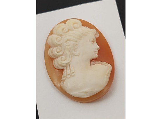 VINTAGE LOOSE CARVED NATURAL SHELL CAMEO