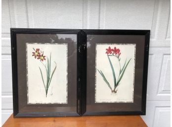 Pair Of Framed Flower Prints