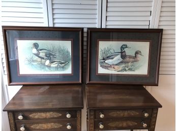 Pair Of Duck Prints