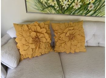 2 Orange Decorative Pillows
