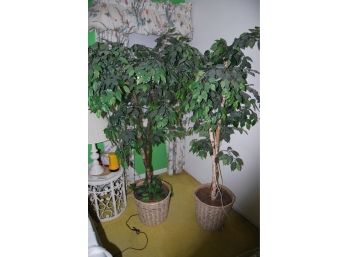 Pair Of Decorative Trees In Baskets