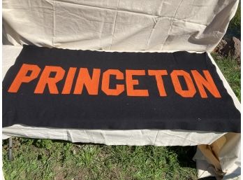 LARGE Vintage PRINCETON UNIVERSITY Felt Banner- 61' Long!