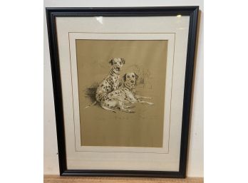 Framed Dalmation Print By Lucy Dawson