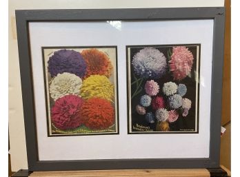 Framed Flower Prints