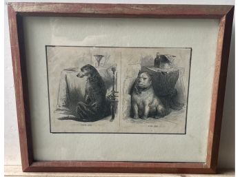 Framed Engraving Of Dogs- 1855