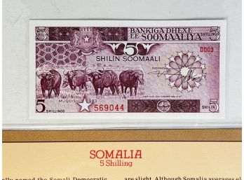 Somalia - 5 Shilling Uncirculated Foreign Paper Money Sealed With  Info/ History Card