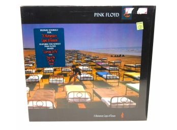 Pink Floyd A Momentary Lapse Of Reason Record Album LP