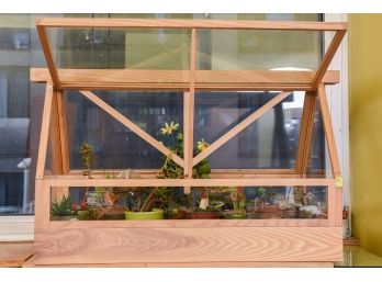 Wood And Tempered Glass Greenhouse