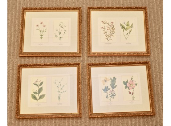 High End Botanical Framed Print Collection Set Of 4 (Purchased For $580)