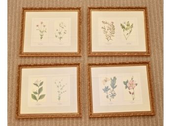 High End Botanical Framed Print Collection Set Of 4 (Purchased For $580)