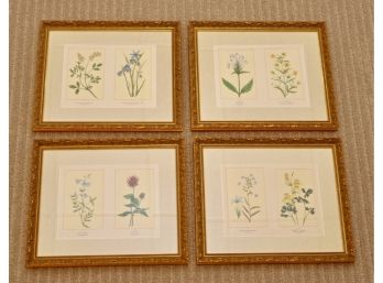 Botanical Framed Collection Set Of 4 (Purchased For $580)