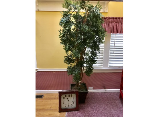 Ficus Tree & Decorative Clock