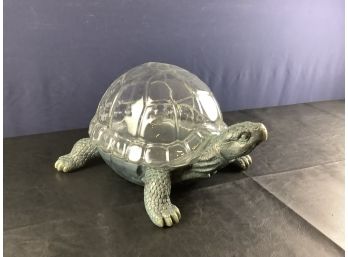 Turtle Terrarium