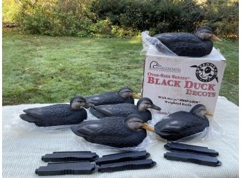 Never Used Oversize Series Black Duck Decoys With Snaplock Keels