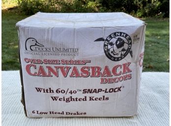 Never Opened Over Size Series Canvas Back Plastic Drake Decoys