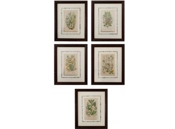 Set Of 5 Framed Botanical Prints