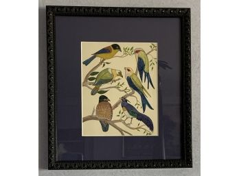 Custom Framed Prin Depicting Birds