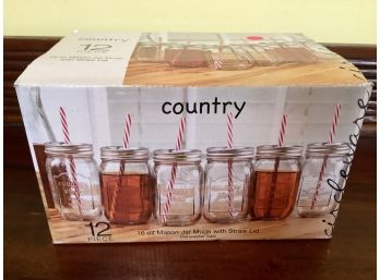 Set Of 12 Country Mason Jar Mugs With Straws