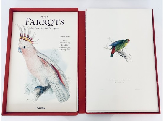 The Parrots By Edward Lear (1812-1888)  Taschen Box Folder With 38 Lithograph Prints  (LOC: S1)